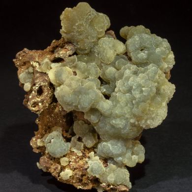 Austinite coated by white Adamite