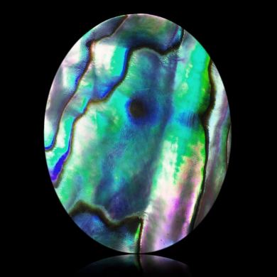 Abalone 29,56 ct 