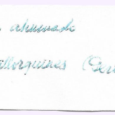 Quartz (variety smoky)