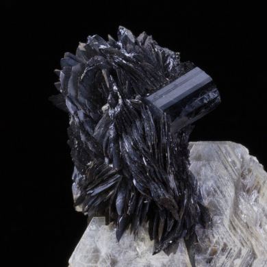 Tantalite on Muscovite with Schorl