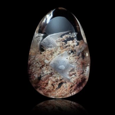 Quartz Fishes 94,27 ct 
