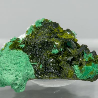 Volborthite with Malachite