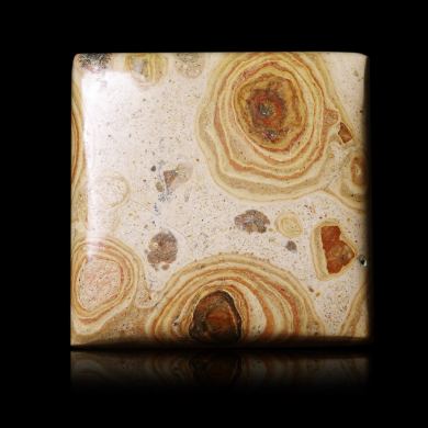 Orbicular Jasper 88,45 ct 