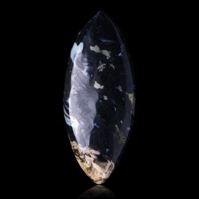 Fossil palm 24,00 ct 