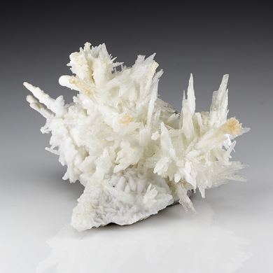 Aragonite
