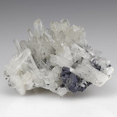 Bournonite with Tetrahedrite, Sphalerite, Pyrite, Quartz