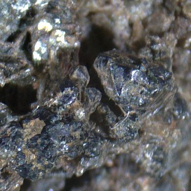 Magnesiohögbomite-2N2S (TL)