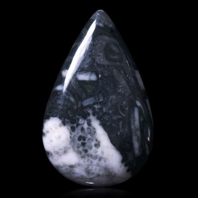 Fossilized shells 44,00 ct 