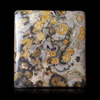 Leopard Skin Jasper 46,00 ct 