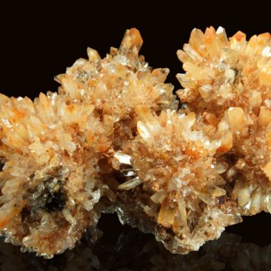 Creedite