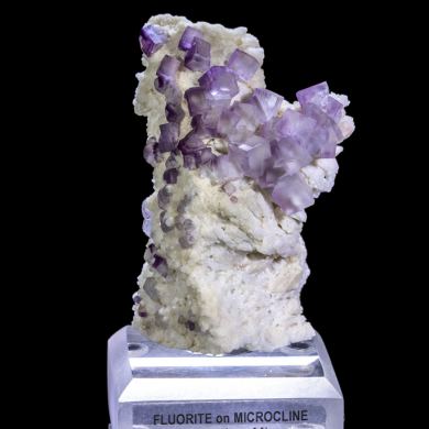 Colorado Purple Fluorite on Microcline Mineral Specimen