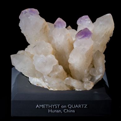Amethyst on Quartz Scepter