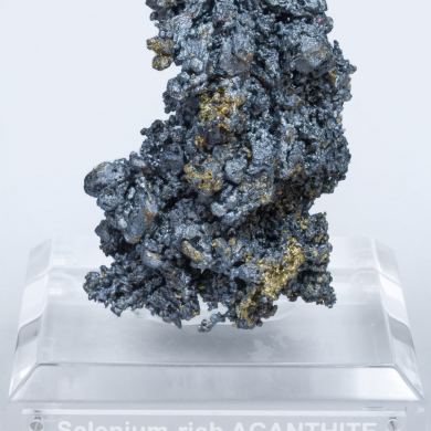 Acanthite (Se-bearing) with Pyrite