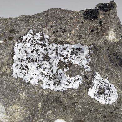 Levyne-Ca with Erionite