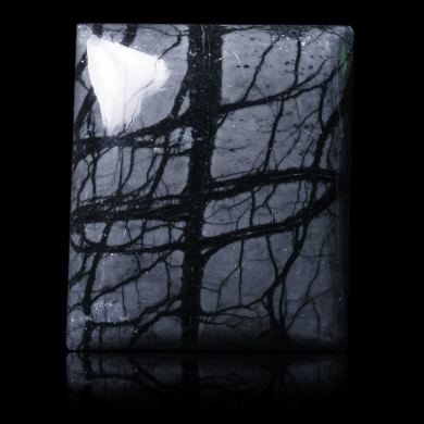 Picasso Jasper 66,10 ct 