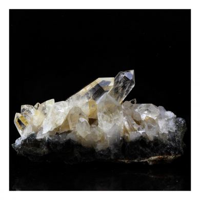 Quartz, Chlorite.