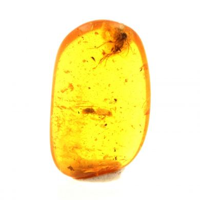 Amber with insect.