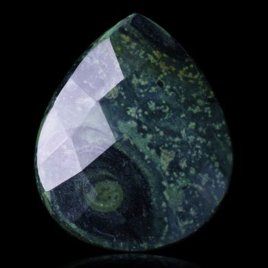 Kambaba Jasper 31,00 ct 