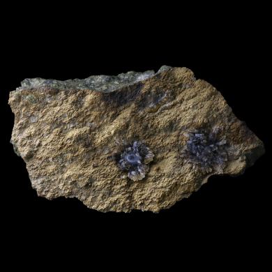 Lussatite Pont-du-Château 