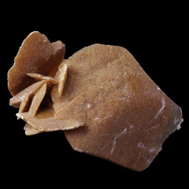 Gypsum flower Sahara 