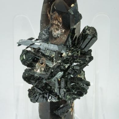 Aegirine with Quartz (variety smoky)