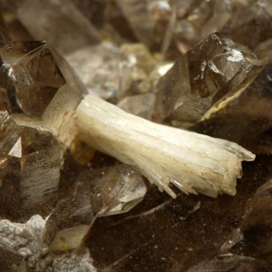 Bertrandite, Quartz and Pyrite