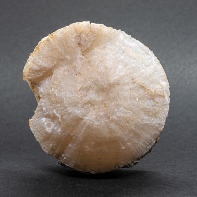 Quartz var. Chalcedony