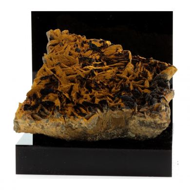 Pyrolusite and Goethite on Siderite.