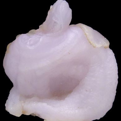 Quartz var. chalcedony