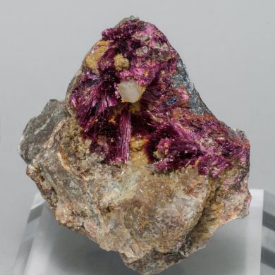 Erythrite with Phlogopite and Quartz