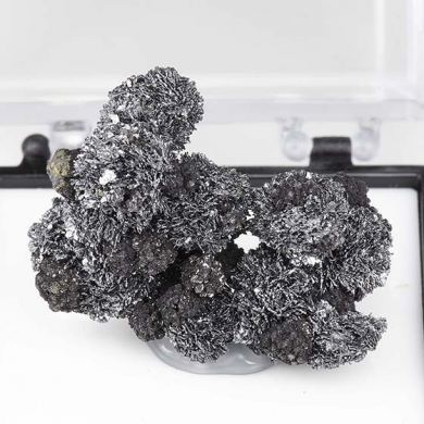 Franckeite with Stannite