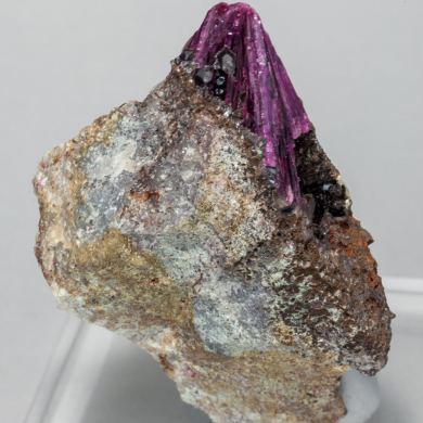 Erythrite with Phlogopite and Quartz