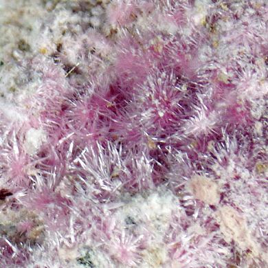 Bieberite, Kottigite, Erythrite