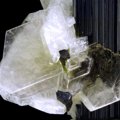 Tourmaline, albite, muscovite