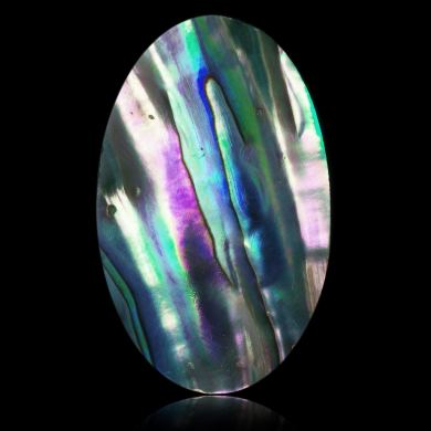 Abalone 44,61 ct 