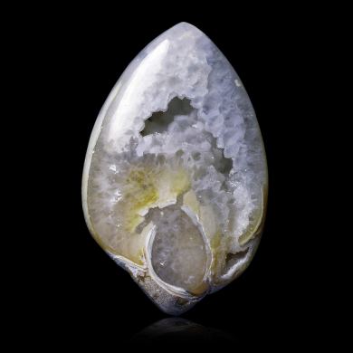 Agatized gastropod 68,00 ct 