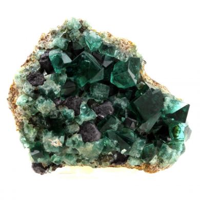 Fluorite + Galena.