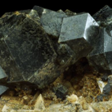 Andradite var. Garnet