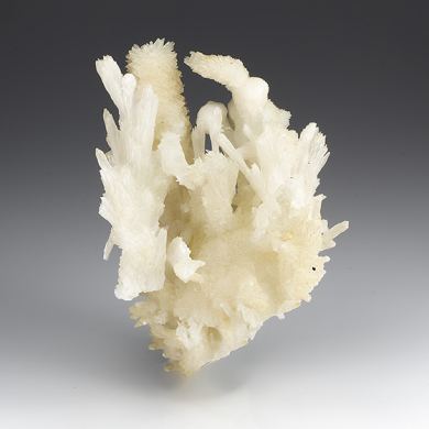 Aragonite