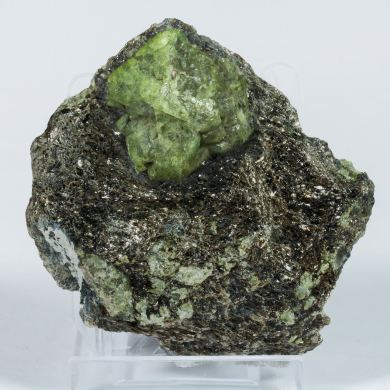 Chrysoberyl on Phlogopite