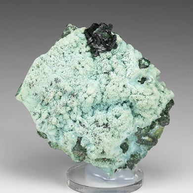 Malachite with Chrysocolla