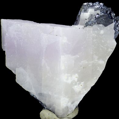Djurleite