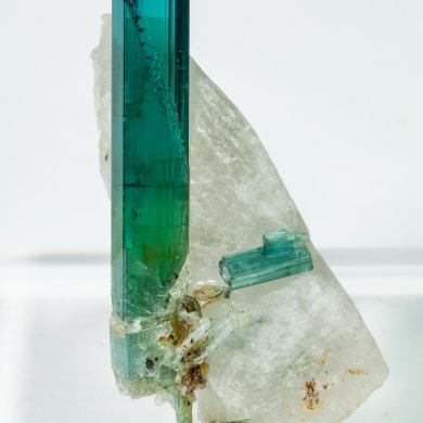 Elbaite (variety indicolite) on Quartz