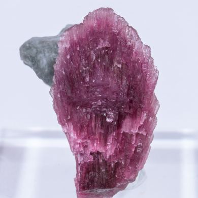 Elbaite-Schorl Series (variety 'mushroom') with Quartz