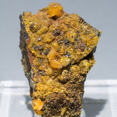 Mimetite with Beudantite