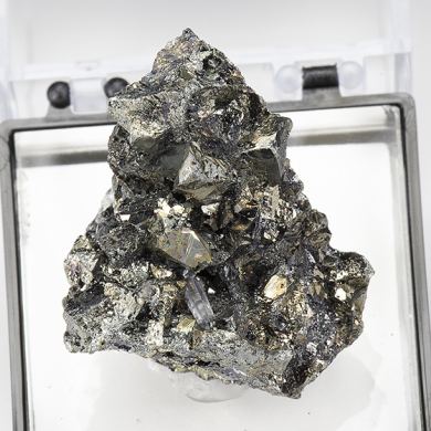 Freibergite with Pyrite, Quartz