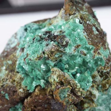 Tyrolite with Strashimirite, Chalcophyllite