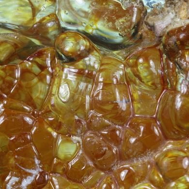 Opal / (variety - “Opal-AN”) / (variety - “Hyalite Opal”) / (“Blood Vessel Opal”)