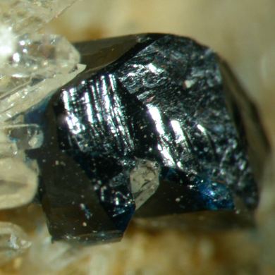 Scorzalite / (rare) / with Quartz