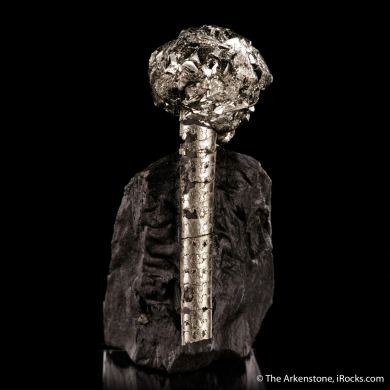 Pyrite on Pyrite ps. Baculites yokayamai